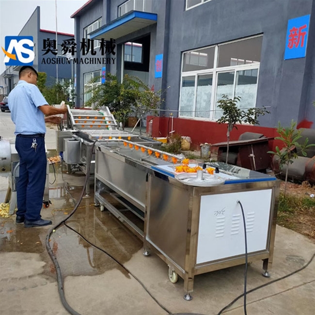 茄子清洗機 果蔬清洗機 水果氣泡清洗機