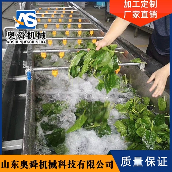 果蔬清洗機 茴香清洗機 山野菜氣泡清洗設備