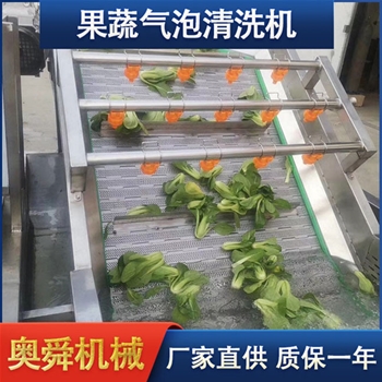 果蔬清洗機 氣泡清洗設備 葉菜類清洗機奧舜機械