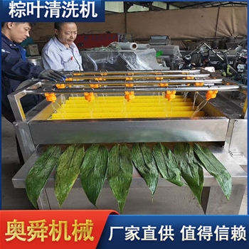 現貨銷售粽葉清洗機 全自動不銹鋼氣泡沖浪荷葉清洗機