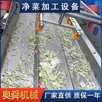 廠家定制凈菜加工機 白菜莖葉菜深清洗加工流水線全套設備