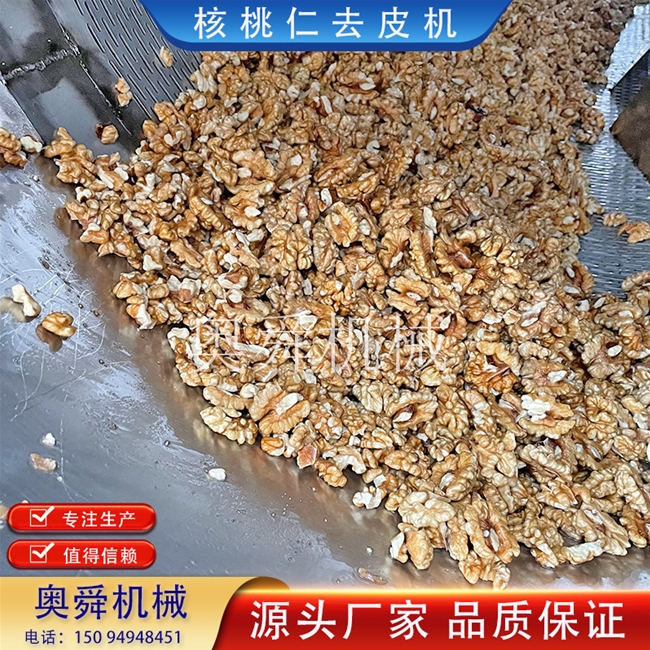 堅果生產線 商用核桃仁脫皮清洗機 花生米深加工去薄皮設備